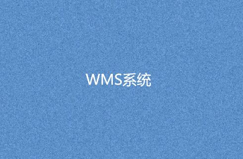 WMS系統 WMS系統
